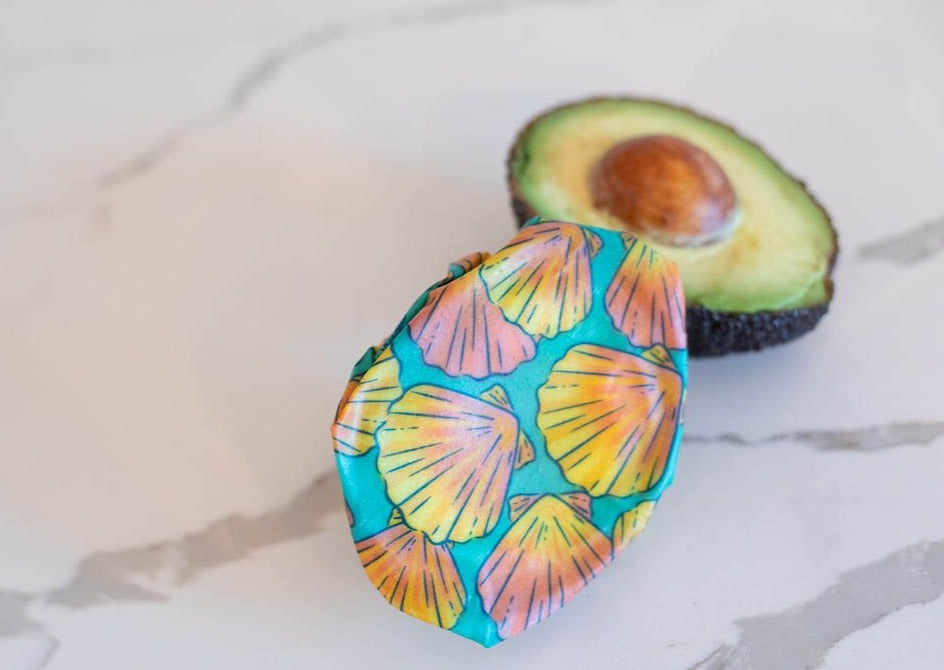 Beeswax Wrap Bulk Roll - Shells Print - Meli Wraps